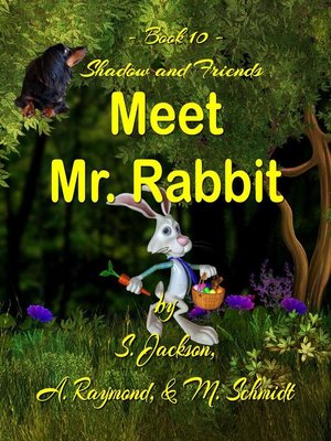 cover image of Shadow and Friends Meet Mr. Rabbit